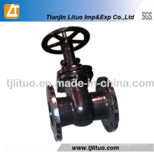 GOST Standard Cast Iron Rising Stem Gate Valve